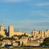 A cityscape with a castle in the background with a lot of flying insects near the castle.