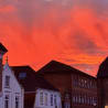 A building with a red roof and white windows can be seen with a flock of birds flying overhead.