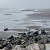 A black and white photo of a beach with waves crashing on it.