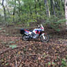 A motorcycle with a red stripe is parked in the woods.