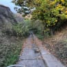 A gravel road is surrounded by trees and has leaves on it.