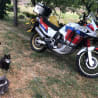 A cat is standing near a motorcycle that is parked on a grassy area.