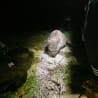 A cat is sitting on the ground near a flashlight and a trash can.