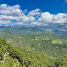 An aerial view of a forest with a mountain range in the distance.
