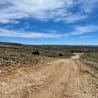 A dirt road leads into the distance with a sky background.