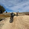 A man on a motorcycle is riding down a dirt road next to a tree.