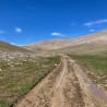 A dirt road cuts through a grassy field.