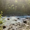 A river with rocks and trees next to it and sunlight on the water.