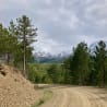 A dirt road leads to a forested area with a mountain in the background.