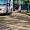 A camper is parked next to a tree and a cat is sitting on the ground near the camper.