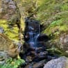 A rock wall with a small waterfall running down it.