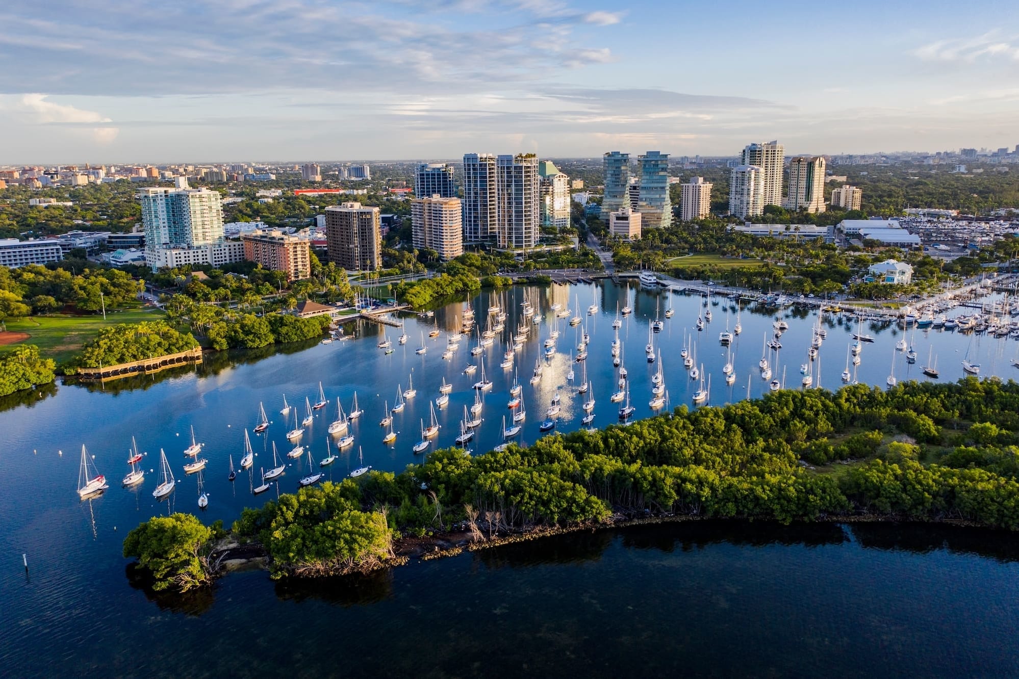 coconut-grove