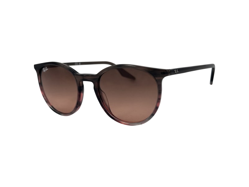 Ray Ban 2204, 1395/3B (51/20 - 145)