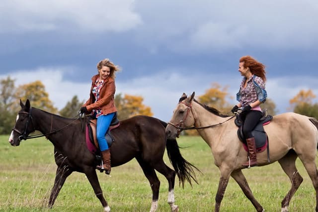 Тизер для статьи в Pro Business об ошибках сайтов агроусадеб