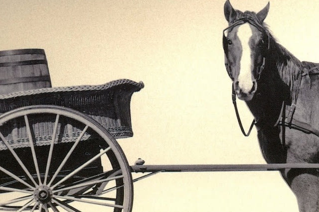 Тизер для статьи в Pro Business о том, что обязательно должен знать маркетолог