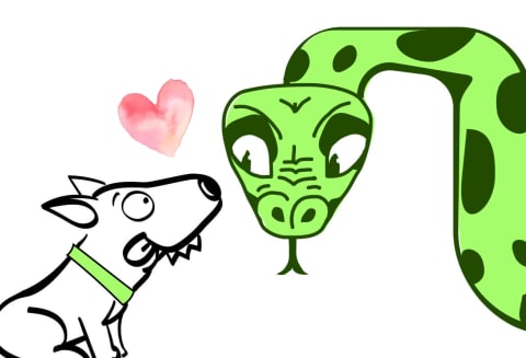 Рекламный баннер онлайн-курсов с персонажем-собакой, символизирующим любопытство.