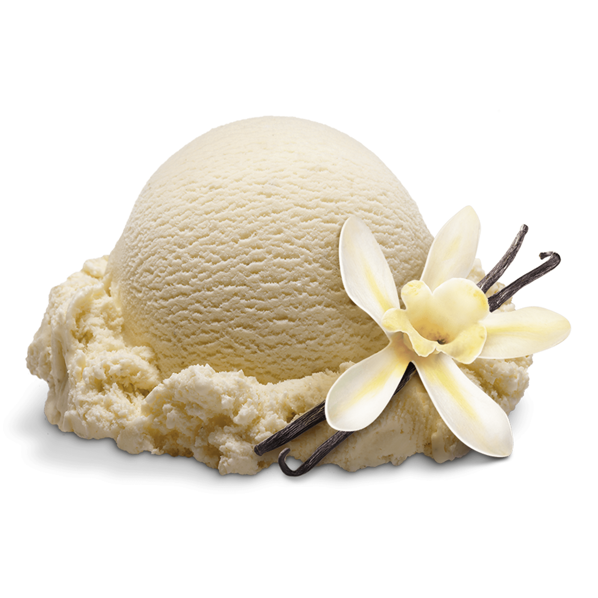vanillaicecream (chixchi.base.eth) Farcaster social identity (Fname handle) PFP