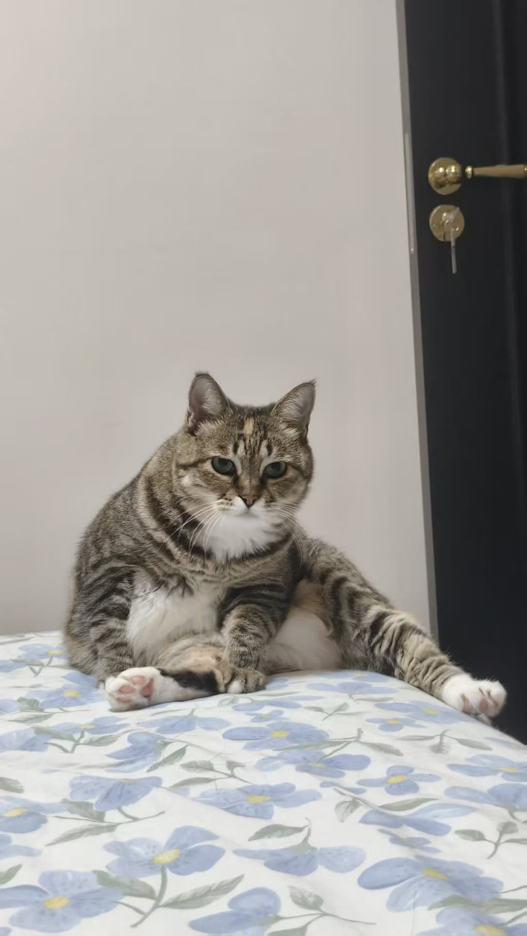 vayne (vayne0112) Farcaster social identity (Fname handle) PFP