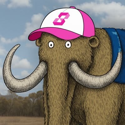 Skies's Farcaster avatar