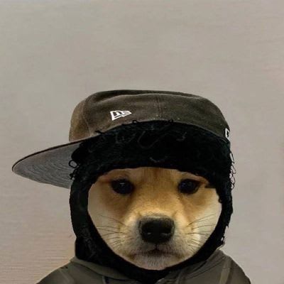 0xcook.base.eth pfp