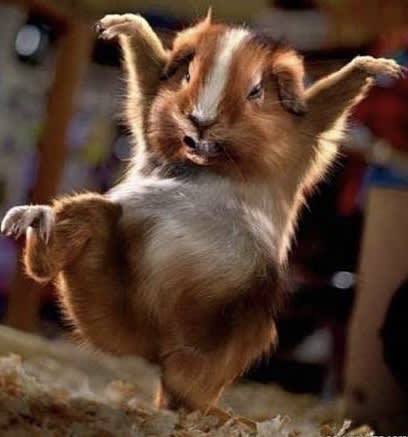 Sulik (sulik) Farcaster social identity (Fname handle) PFP