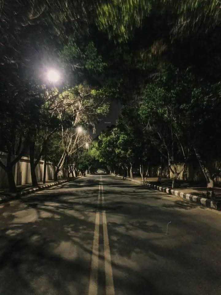Late night walks are so therapeutic.♡>>>