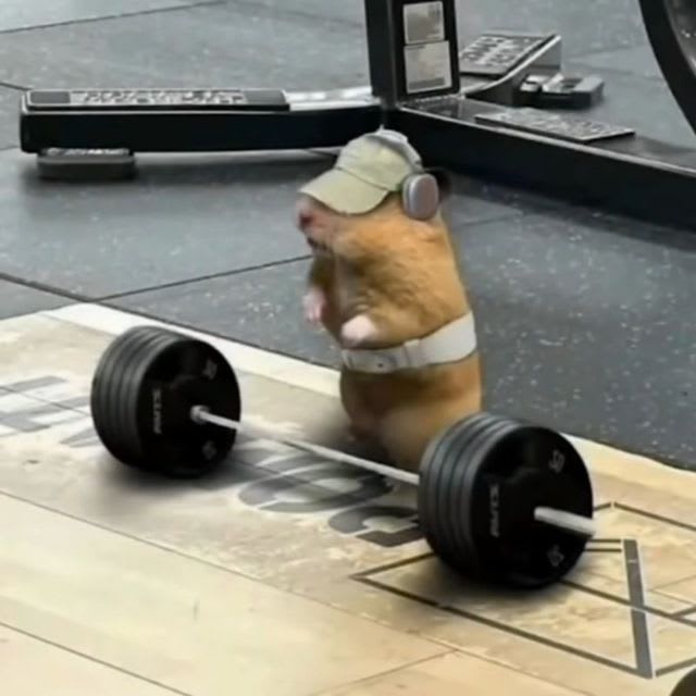 Excariterry (excariterrry) Farcaster social identity (Fname handle) PFP