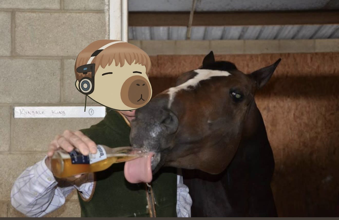 horsebeer pfp