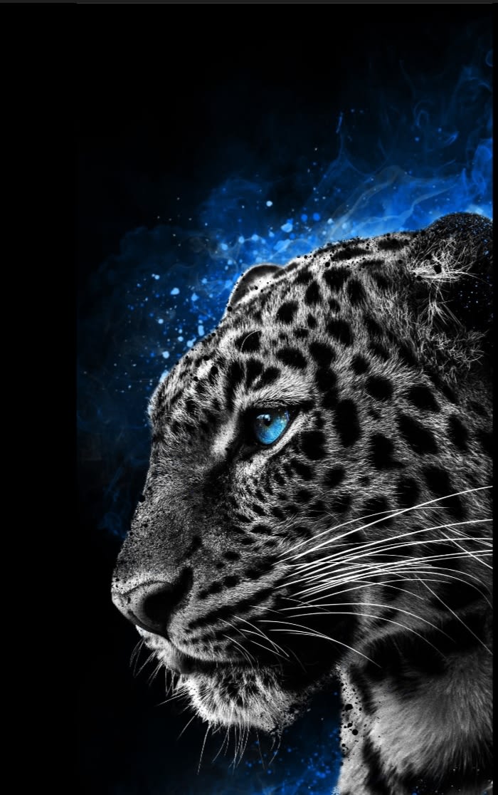 rrandhawa329's Farcaster avatar