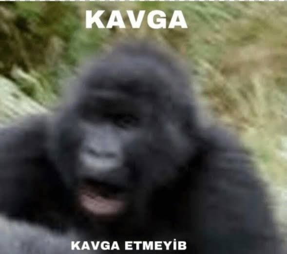 belmont4 Farcaster social identity (Fname handle) PFP