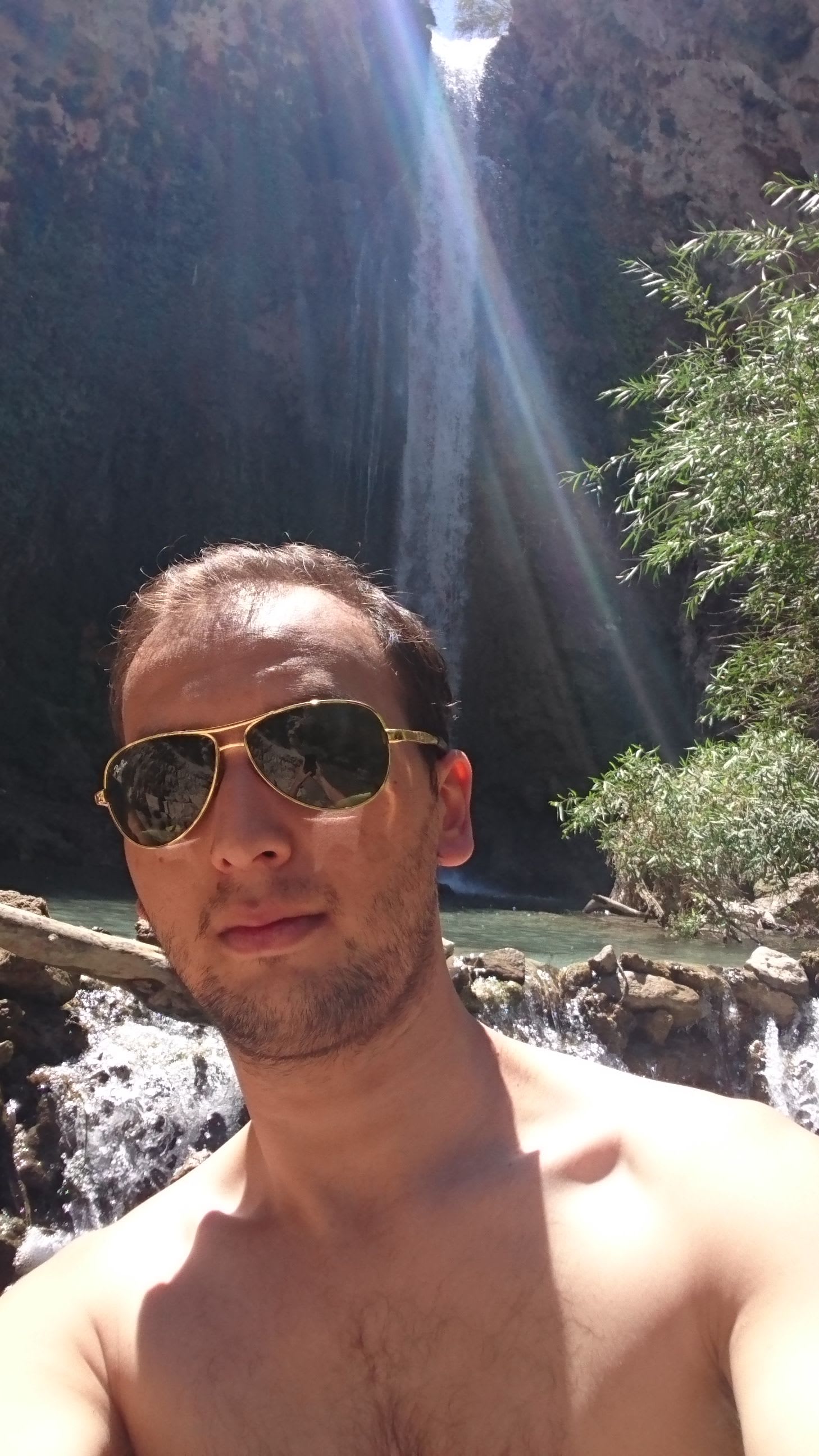 masoud 🎩 🔵 🐹 pfp