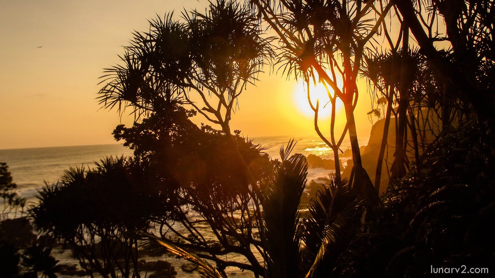 gaya09 Farcaster social identity (Fname handle) PFP