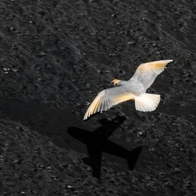 Wazir's Farcaster avatar