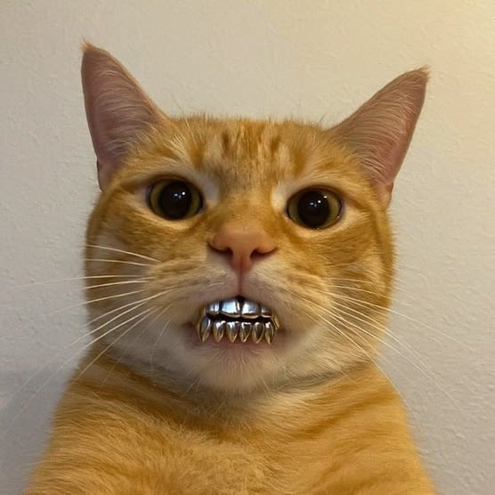 Khaleel's Farcaster avatar