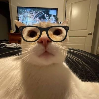 Intern's Farcaster avatar