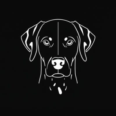 Martin (mart1nes) Farcaster social identity (Fname handle) PFP
