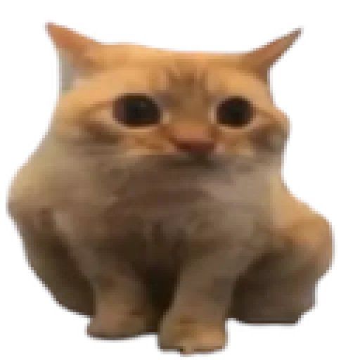 peaceofheaven (peaceofheav1.base.eth) Farcaster social identity (Fname handle) PFP