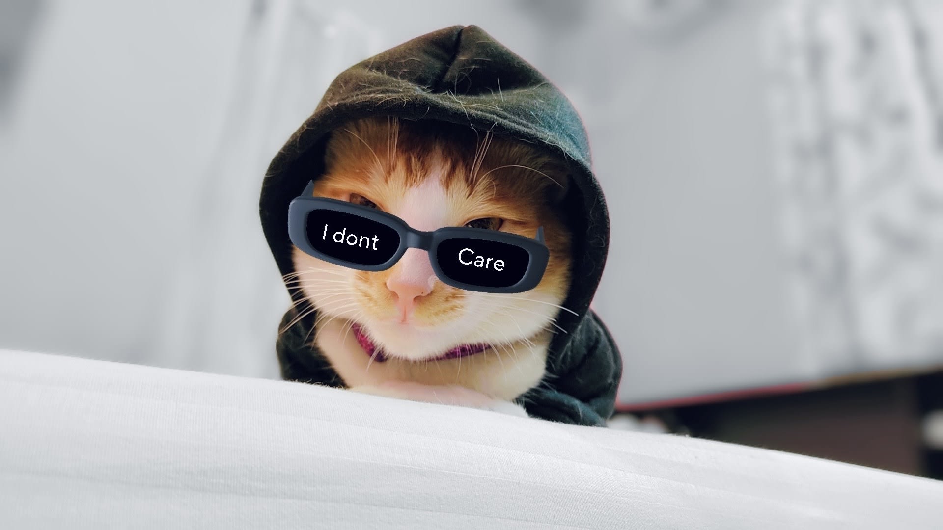 Noob (0xnoob) Farcaster social identity (Fname handle) PFP