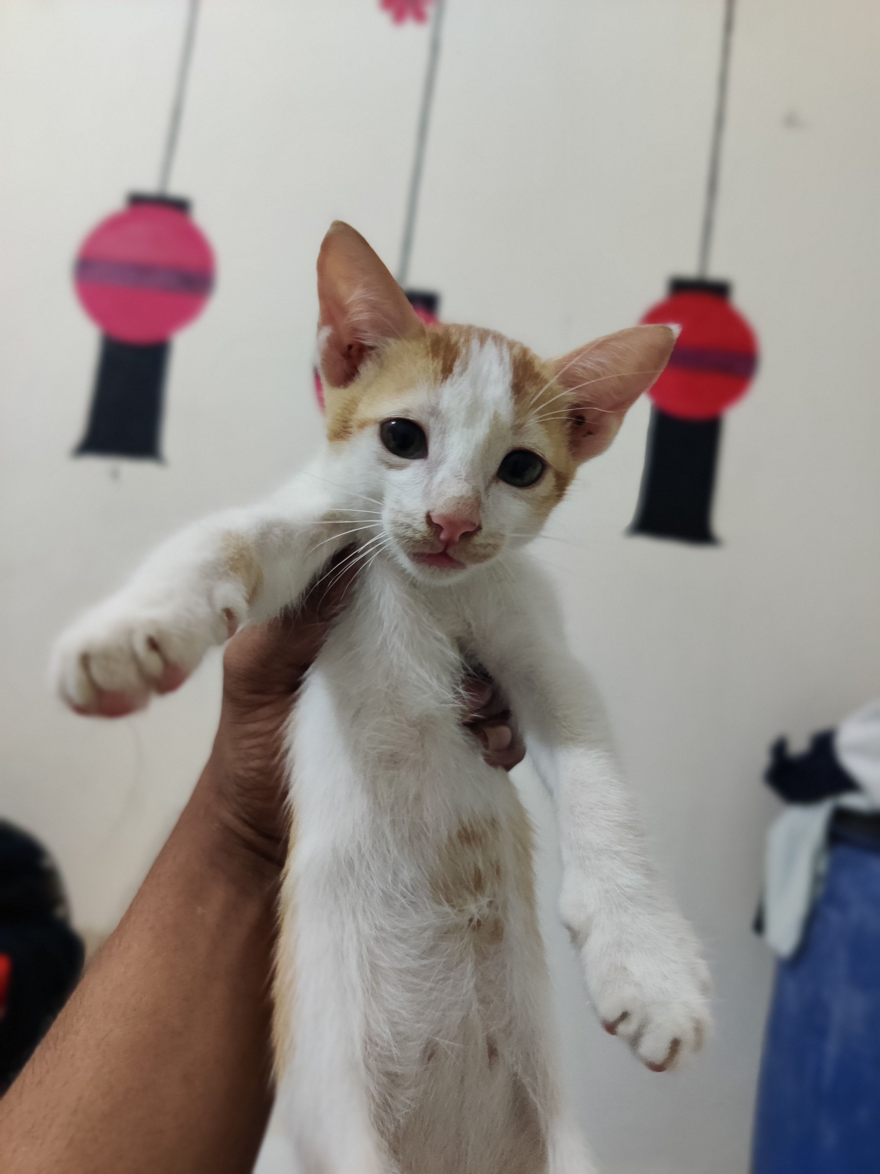 Hasan Ali Munna's Farcaster avatar