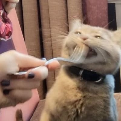 Jeetix.eth (jeetix.base.eth) Farcaster social identity (Fname handle) PFP