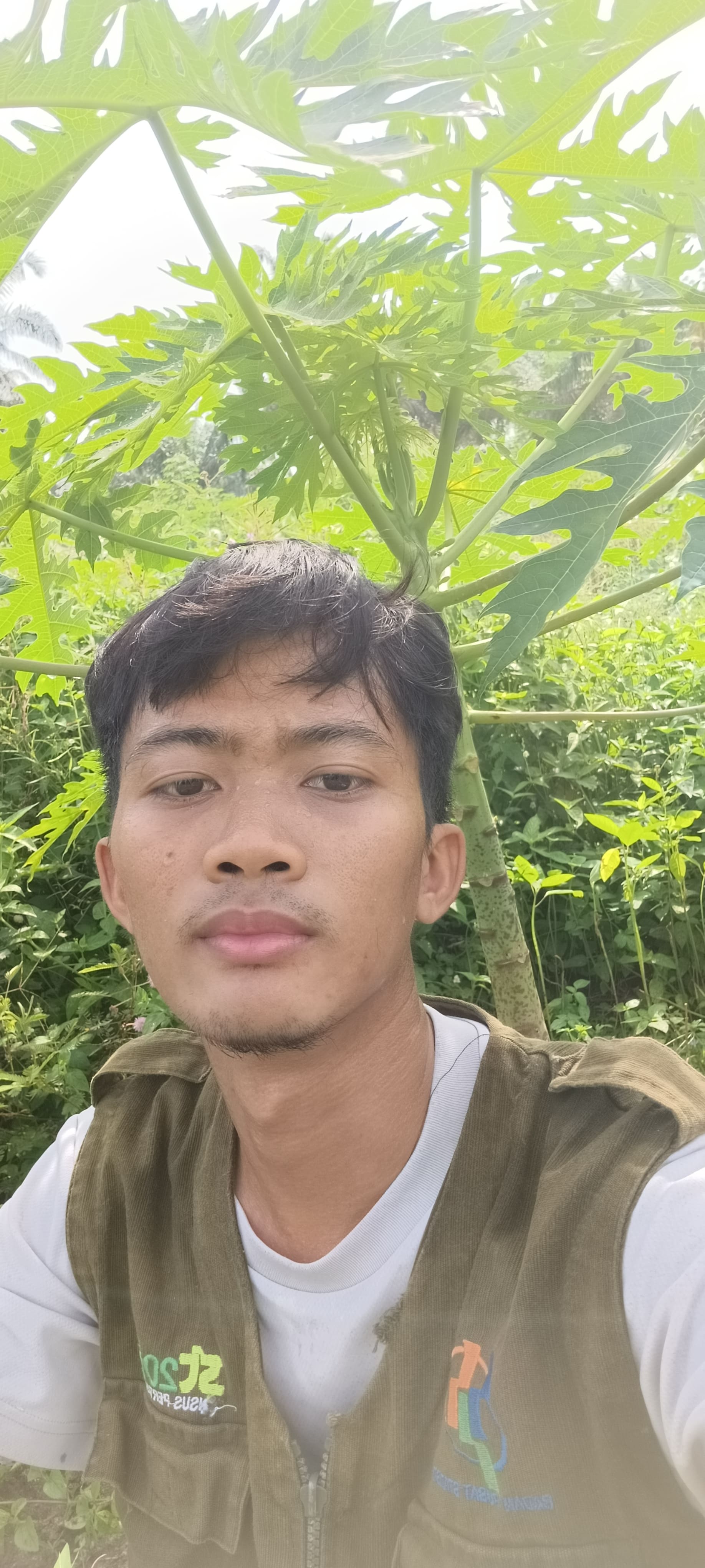 krisnanto.lens Lens social identity (.lens handle) PFP