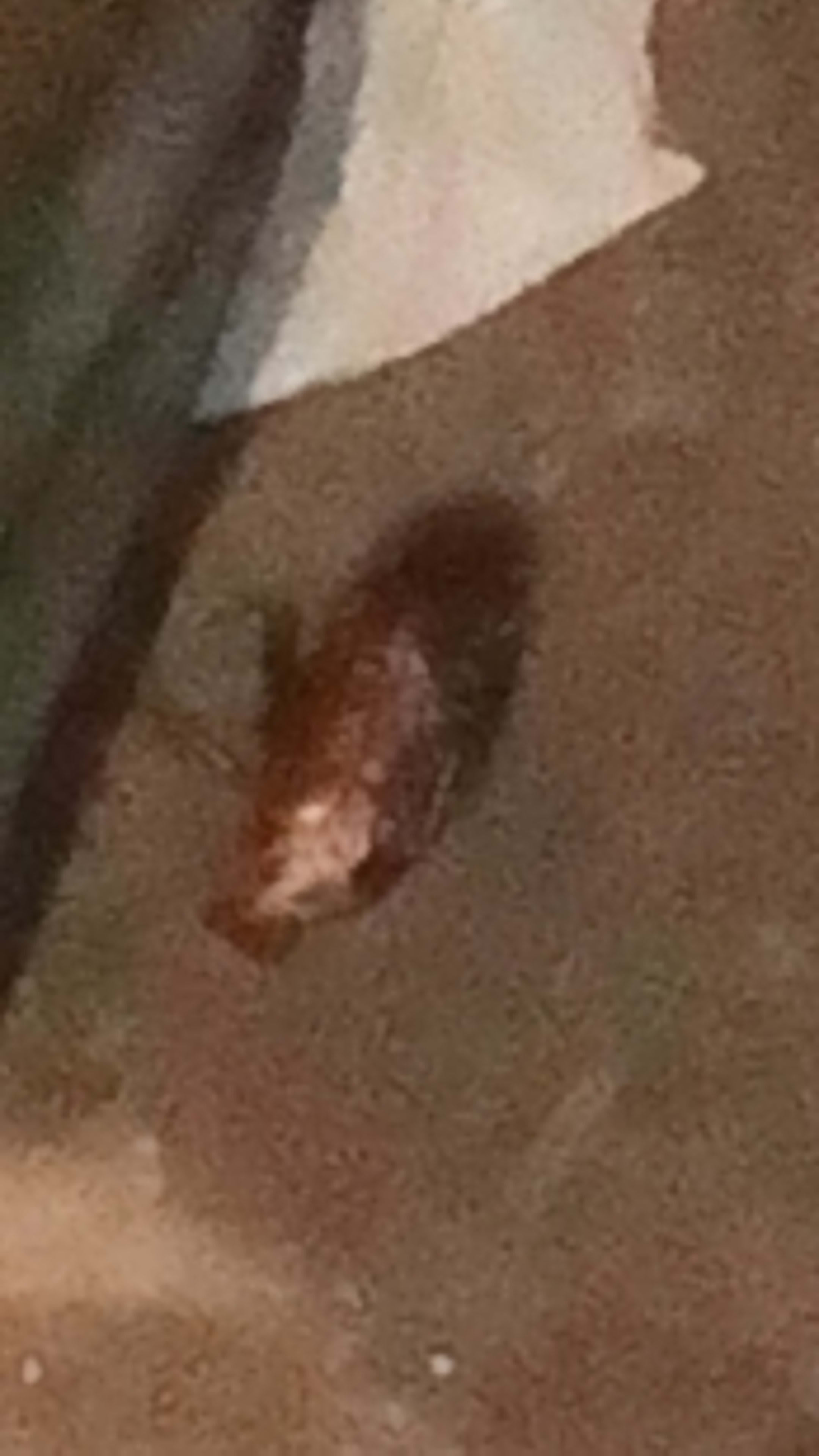 GOJO 🎩🍖🔮🔵🎭 (hamza74) Farcaster social identity (Fname handle) PFP