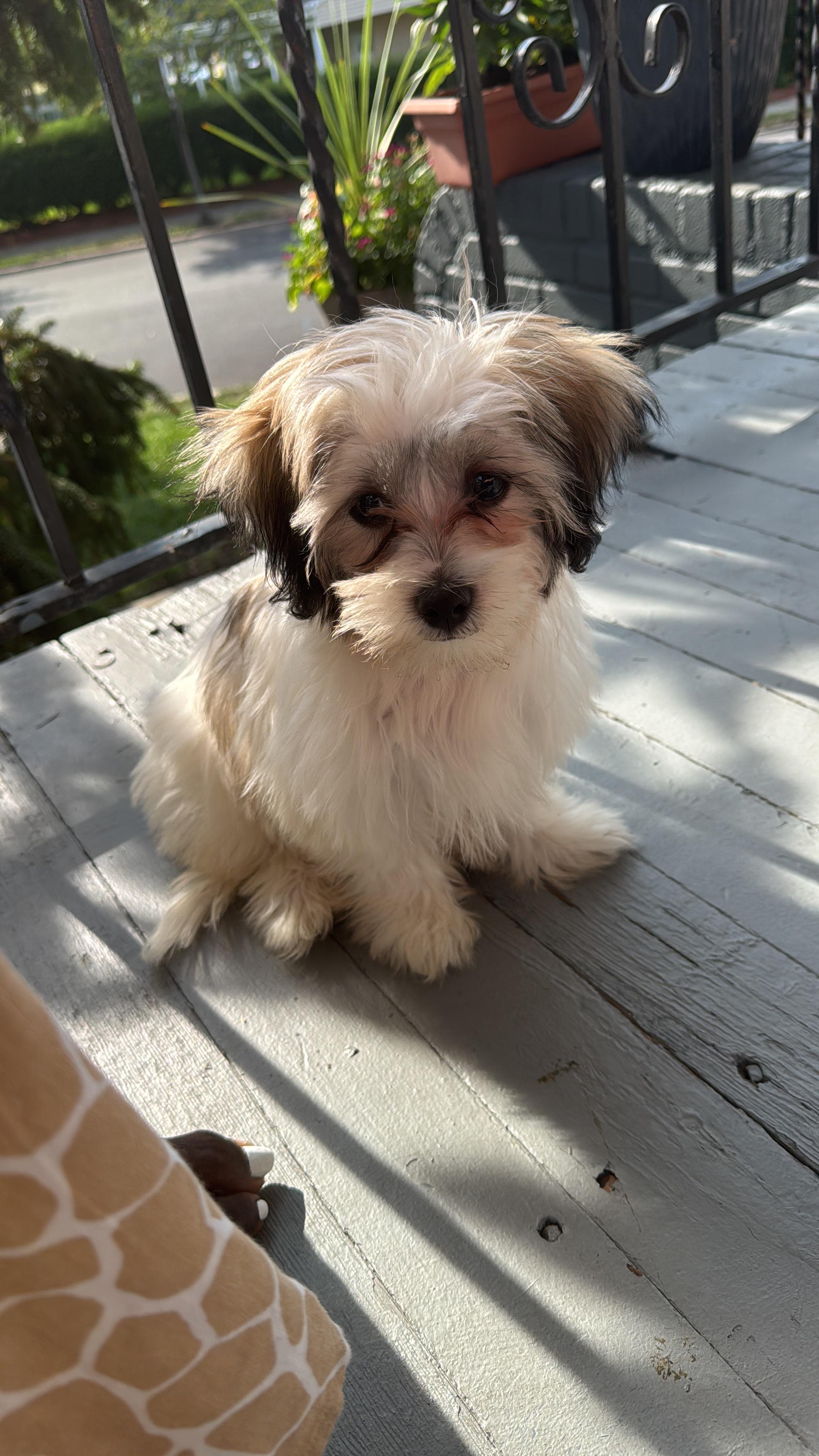 0xnana (obryta) Farcaster social identity (Fname handle) PFP