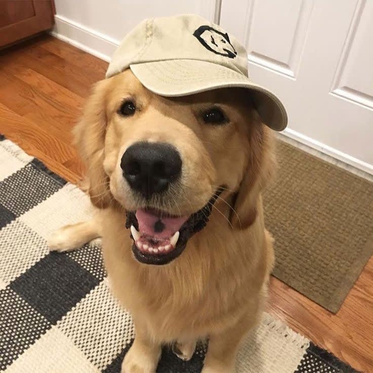 mhdferdii (ferdisetiawan) Farcaster social identity (Fname handle) PFP