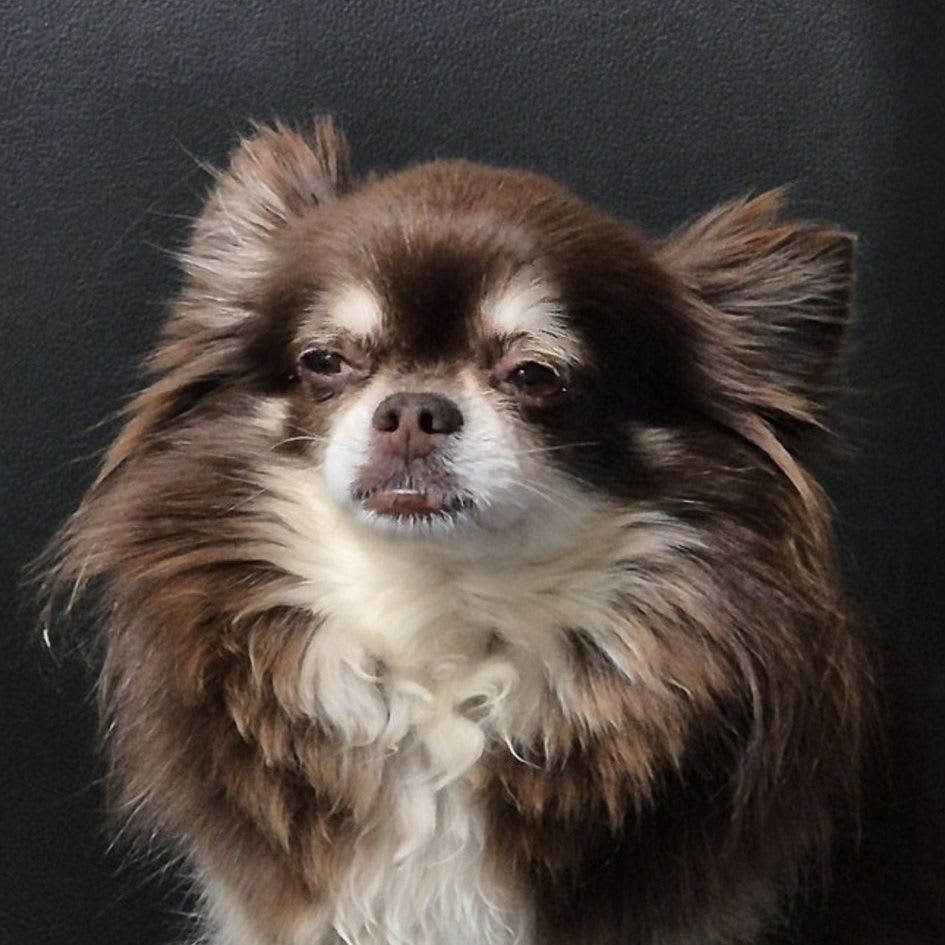 aiisfuture.eth Ethereum Name Service (ENS and .eth domain) PFP