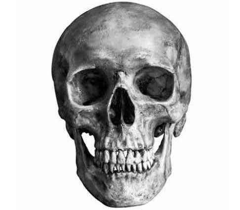 kingcobra01.base.eth Basenames (.base.eth domains) based on ENS PFP