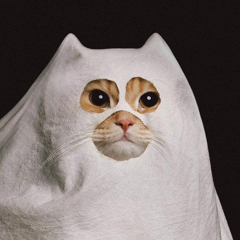 Jaegero (jaegero) Farcaster social identity (Fname handle) PFP