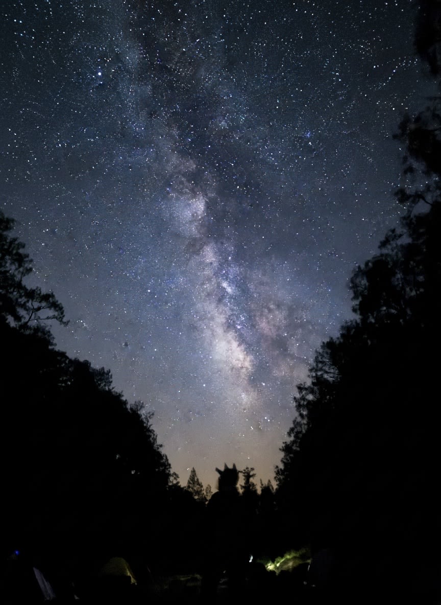 iamraftel Farcaster social identity (Fname handle) PFP