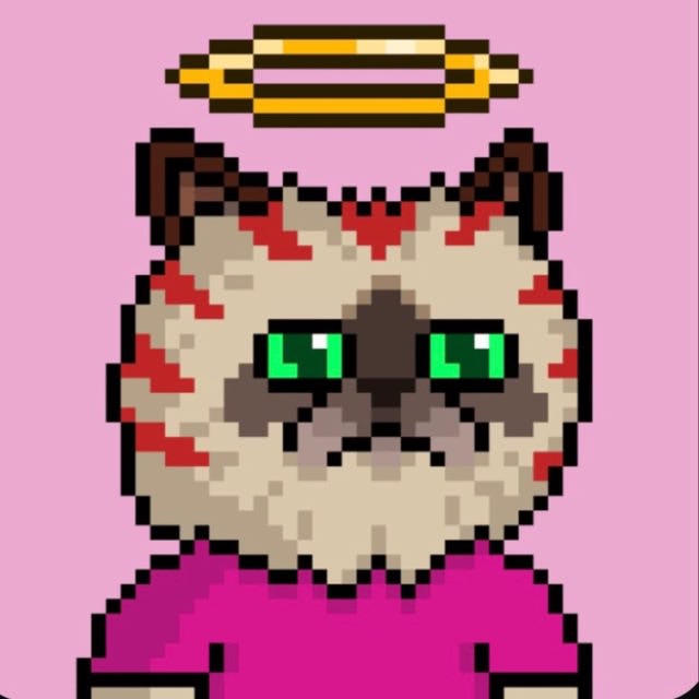 Molly $MIGGLES (mollydtools) Farcaster social identity (Fname handle) PFP