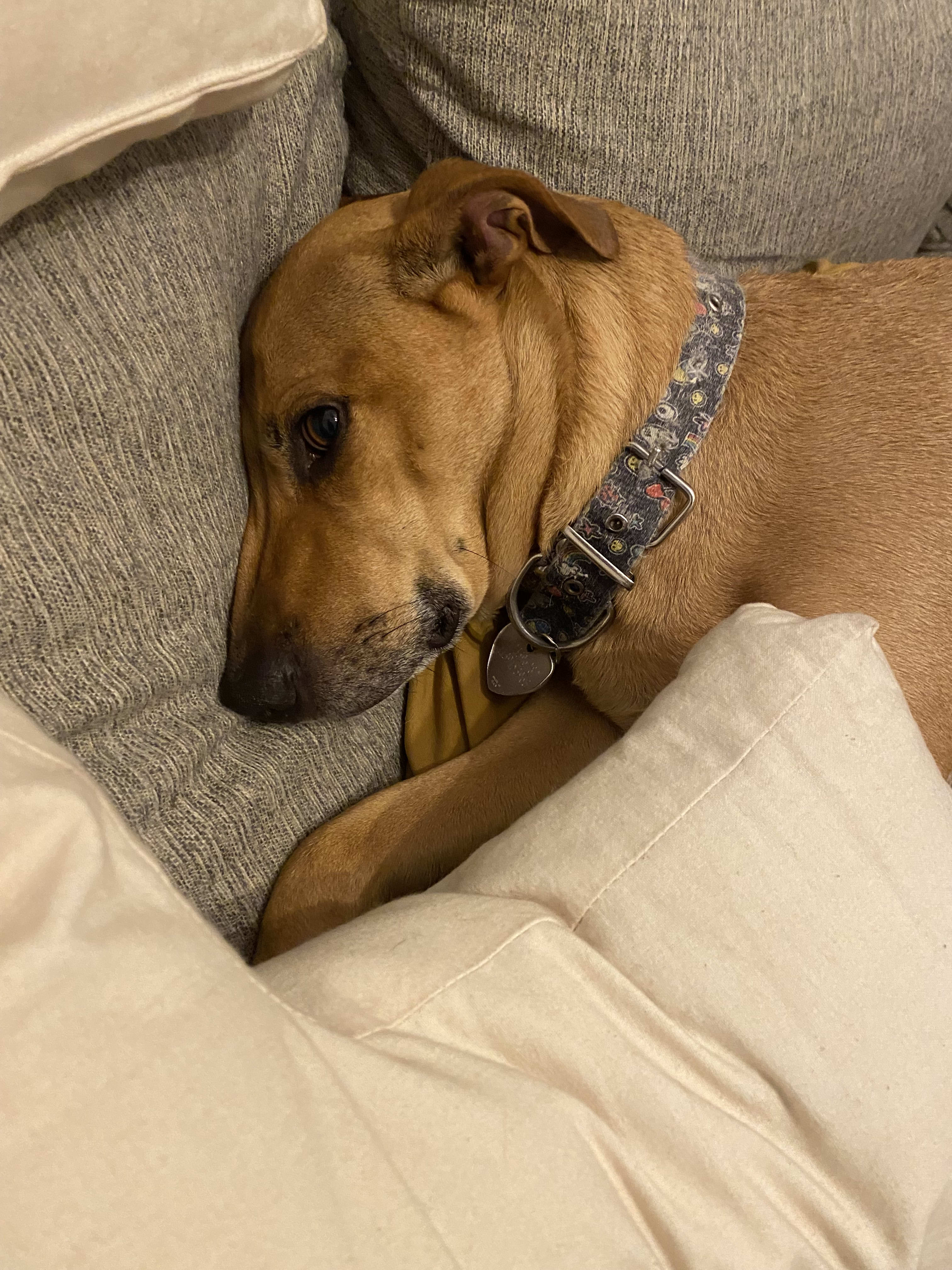 crownbase.base.eth Basenames (.base.eth domains) based on ENS PFP